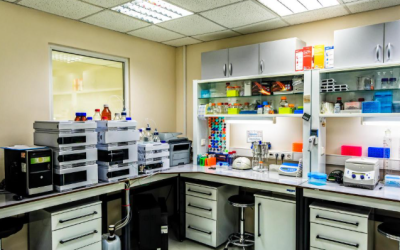 Cómo evitar paros inesperados mediante mantenimiento preventivo