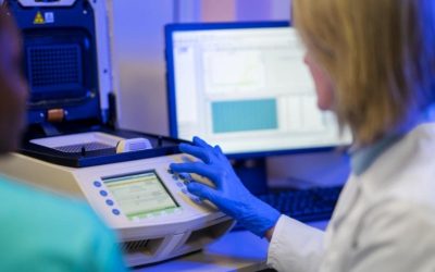 Servicio técnico para cromatógrafos de gases: solución rápida y precisa