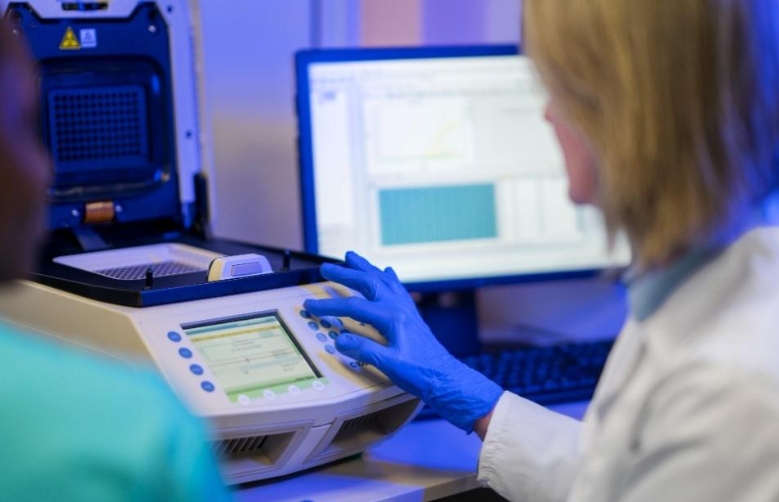 Servicio técnico para cromatógrafos de gases: solución rápida y precisa