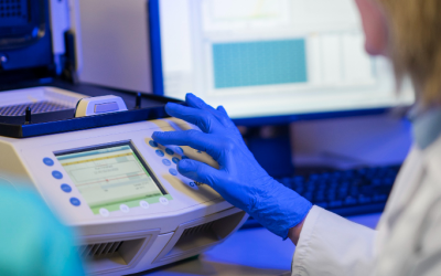 ¿Cuándo es necesario el servicio técnico para cromatógrafos de gases?