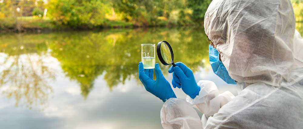 cromatografía de gases