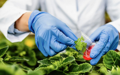 Cromatógrafo de gases con detector de masas para laboratorios de alimentos: análisis avanzado de compuestos traza