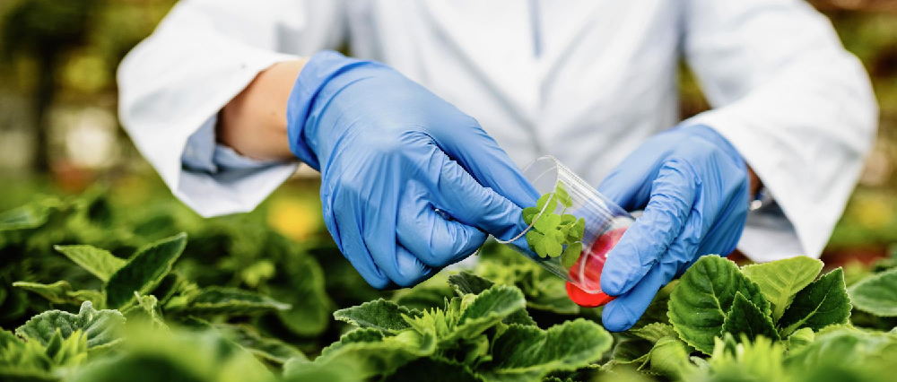 Cromatógrafo de gases con detector de masas para laboratorios de alimentos: análisis avanzado de compuestos traza